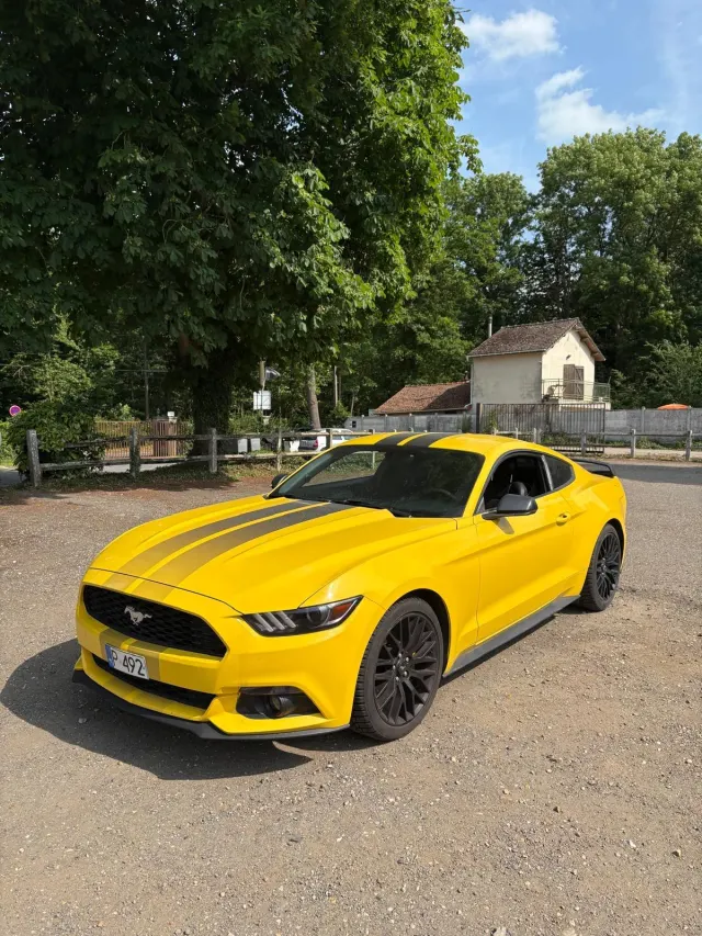 Client SS CARS